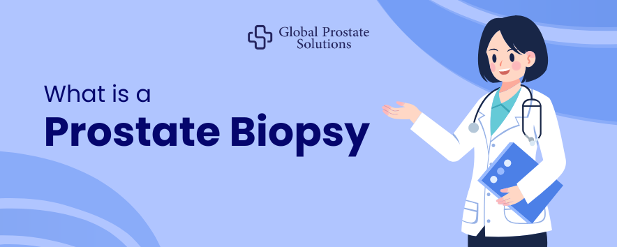What is a Prostate Biopsy