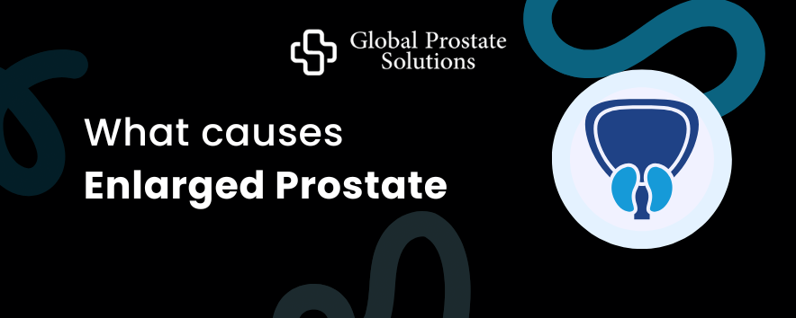 What causes Enlarged Prostate