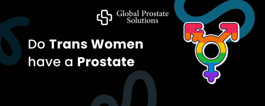 Do Trans Women have a Prostate