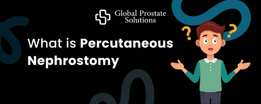 What is Percutaneous Nephrostomy