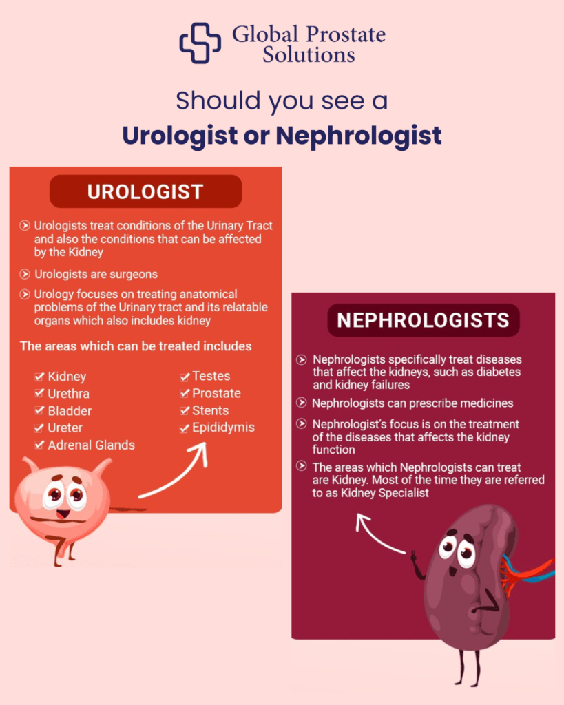 Nephrologist Vs Urologist