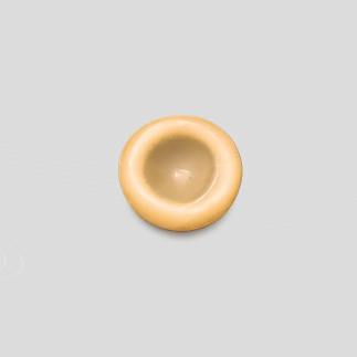 5 Ultrasound Probe Cover for Prostate Diagnosis