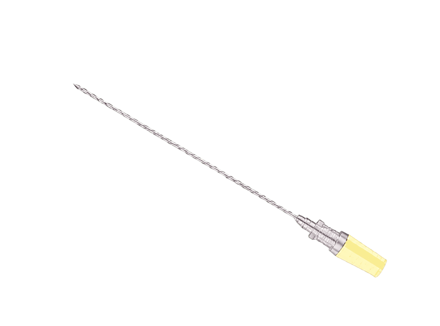 Needle used for a prostate biopsy