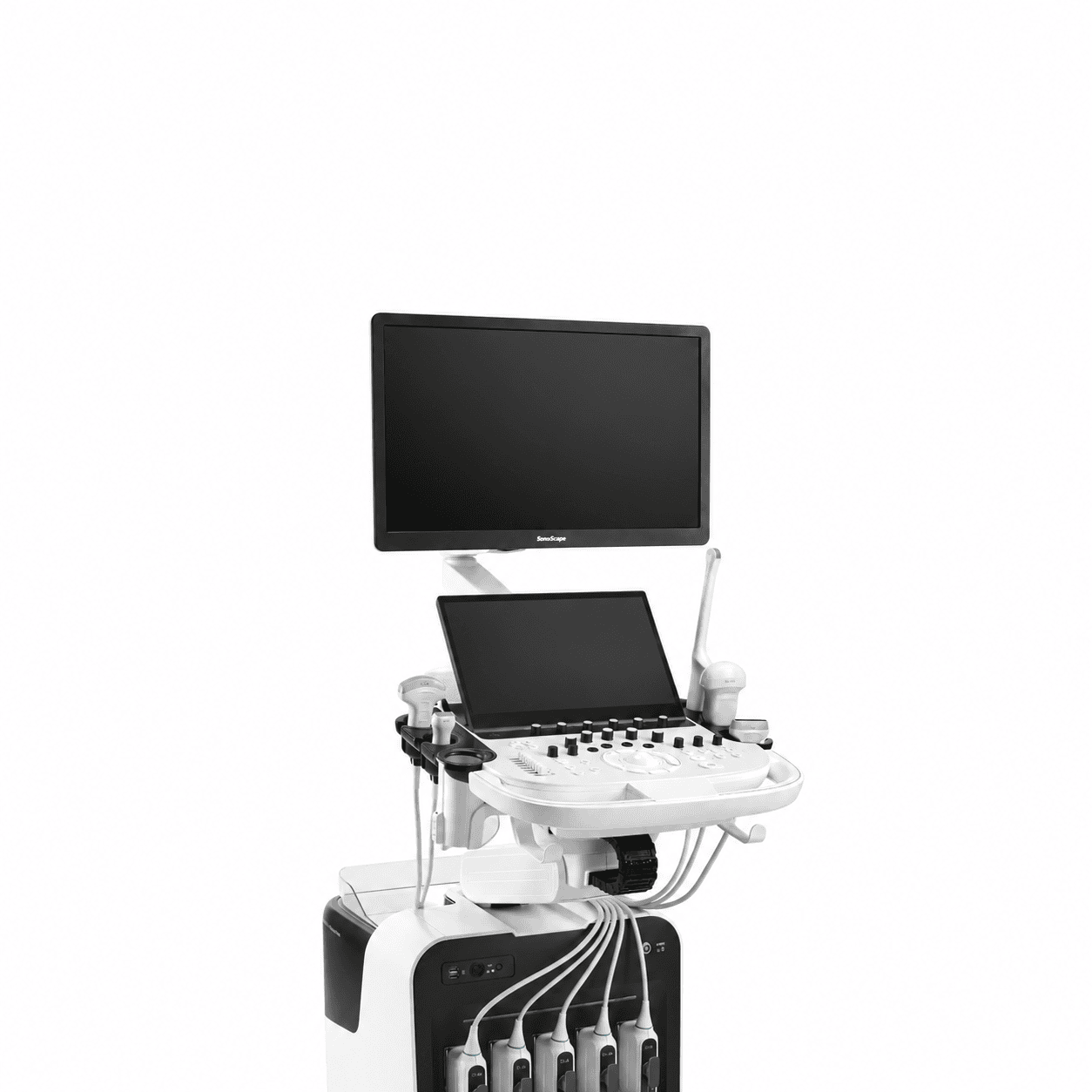 Portable ultrasound machine for prostate biopsy